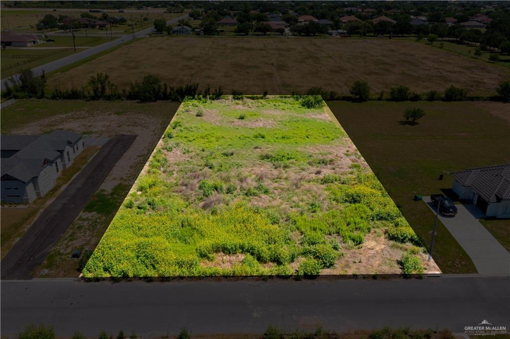 6909 Suncrest Acres Street, Edinburg, Texas image 1