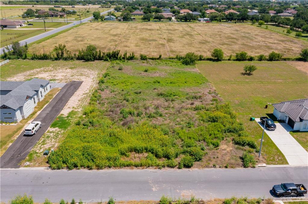 6909 Suncrest Acres Street, Edinburg, Texas image 2