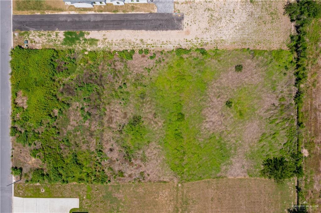 6909 Suncrest Acres Street, Edinburg, Texas image 3