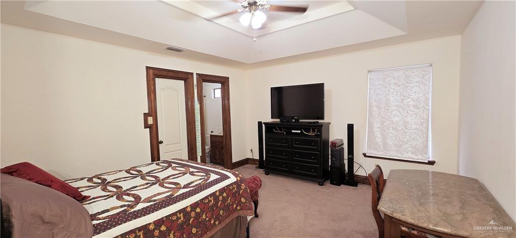 3007 Chapin Street, Edinburg, Texas image 33