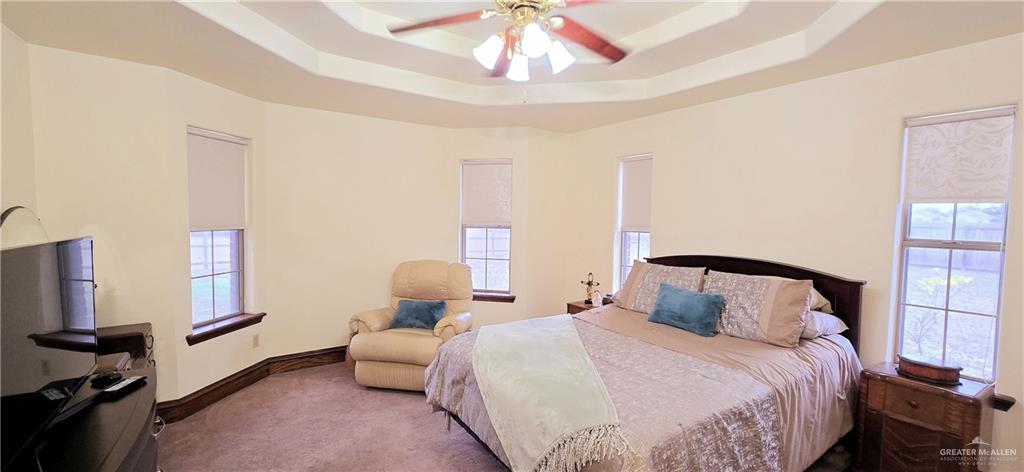 3007 Chapin Street, Edinburg, Texas image 30