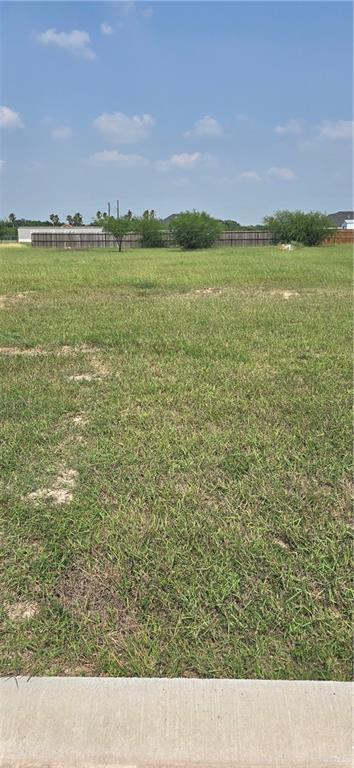 13324 Almirola Street, Donna, Texas image 5