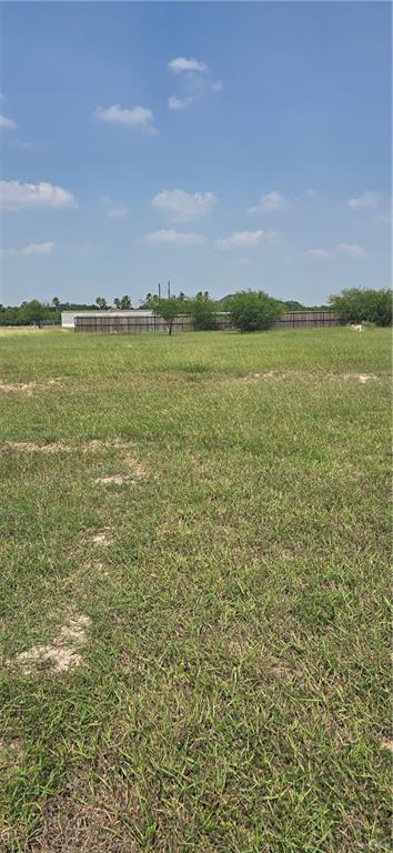 13324 Almirola Street, Donna, Texas image 4