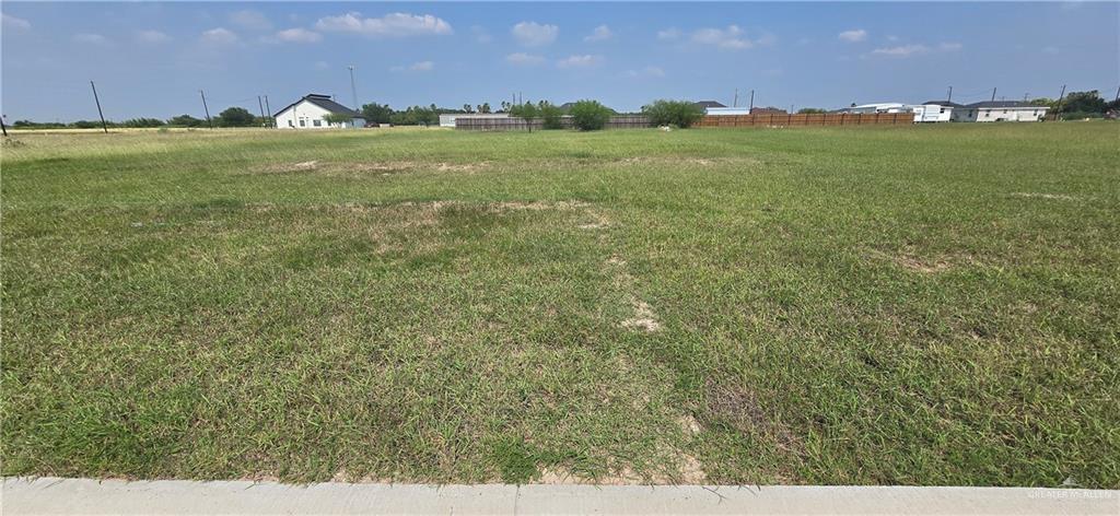 13324 Almirola Street, Donna, Texas image 3