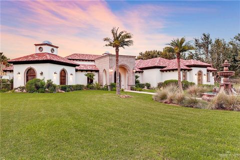 A home in Palmhurst