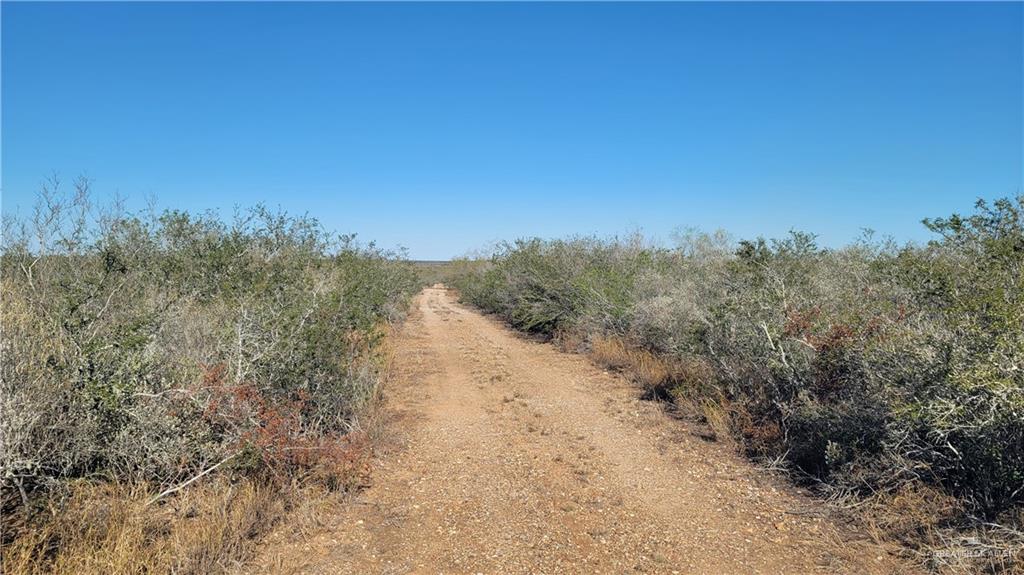 Fm 2687 Road, Rio Grande City, Texas image 6