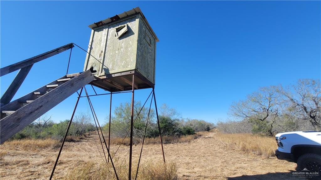 Fm 2687 Road, Rio Grande City, Texas image 3