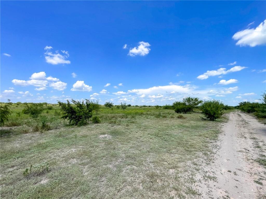 1884 Pimenta Road, Rio Grande City, Texas image 15