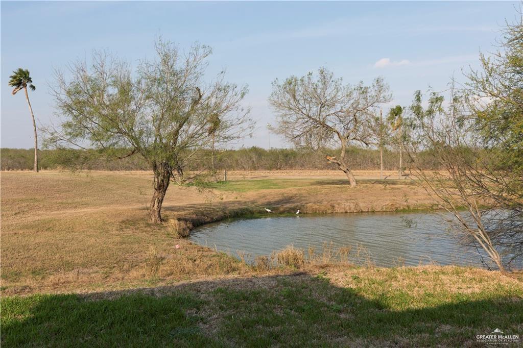 1209 Rhett Drive, Pharr, Texas image 21