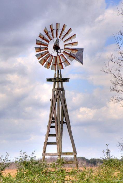 Cantu Road, Edinburg, Texas image 1