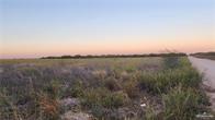 Cantu Road, Edinburg, Texas image 2