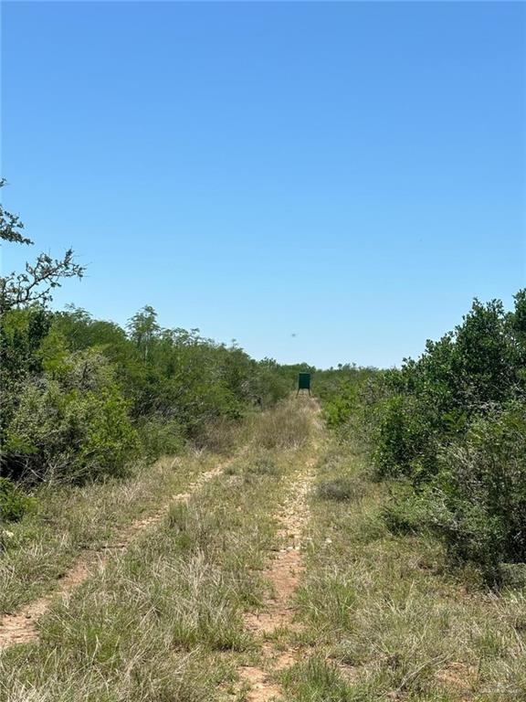 Tract 19 Spur, San Diego, Texas image 8
