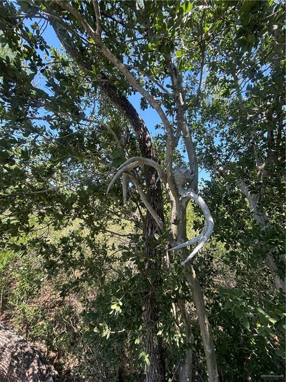 Tract 19 Spur, San Diego, Texas image 9