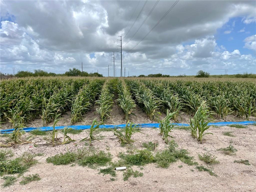 TBD N Gonzalez Road, Progreso, Texas image 1