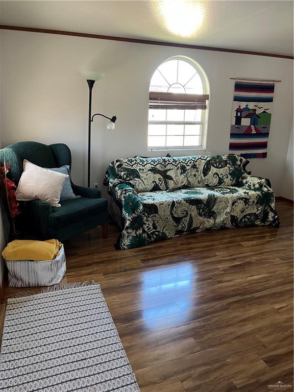 334 Fan Palm Drive, Alamo, Texas image 12