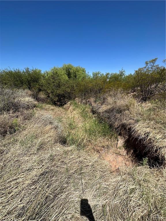 00 W Highway 90 Highway, Van Horn, Texas image 6