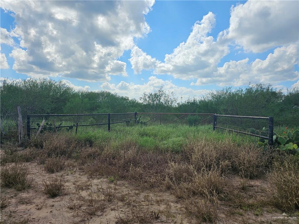 E St. Jude Avenue, Alton, Texas image 6
