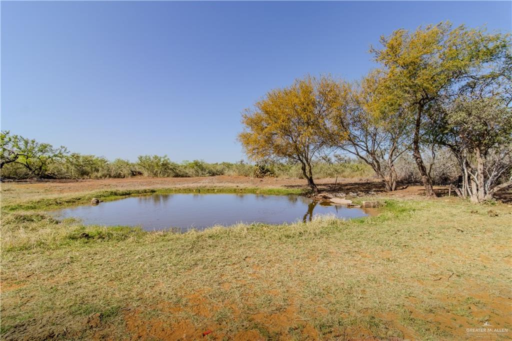208 Guajolote Ranch Road, Delmita, Texas image 15