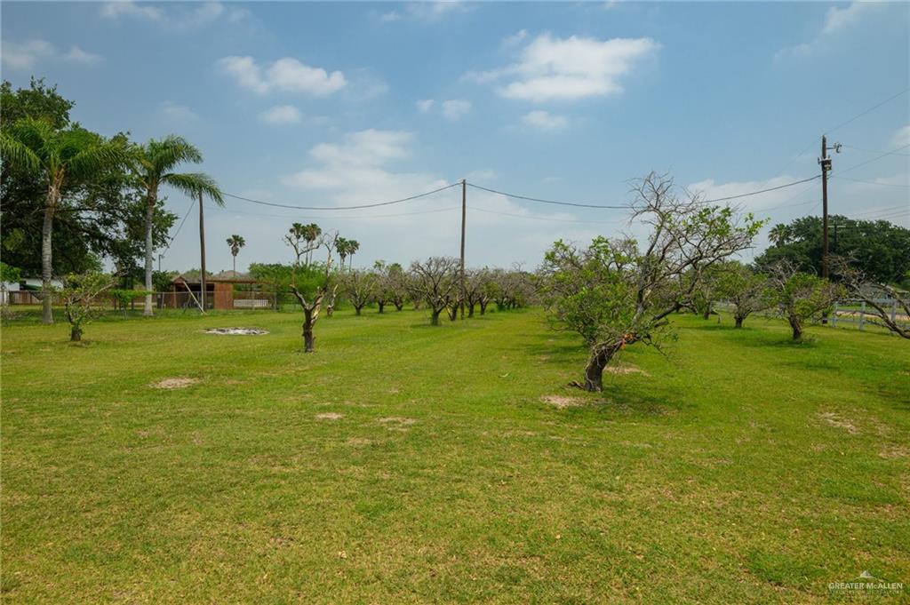 26086 Rabb Road, La Feria, Texas image 30