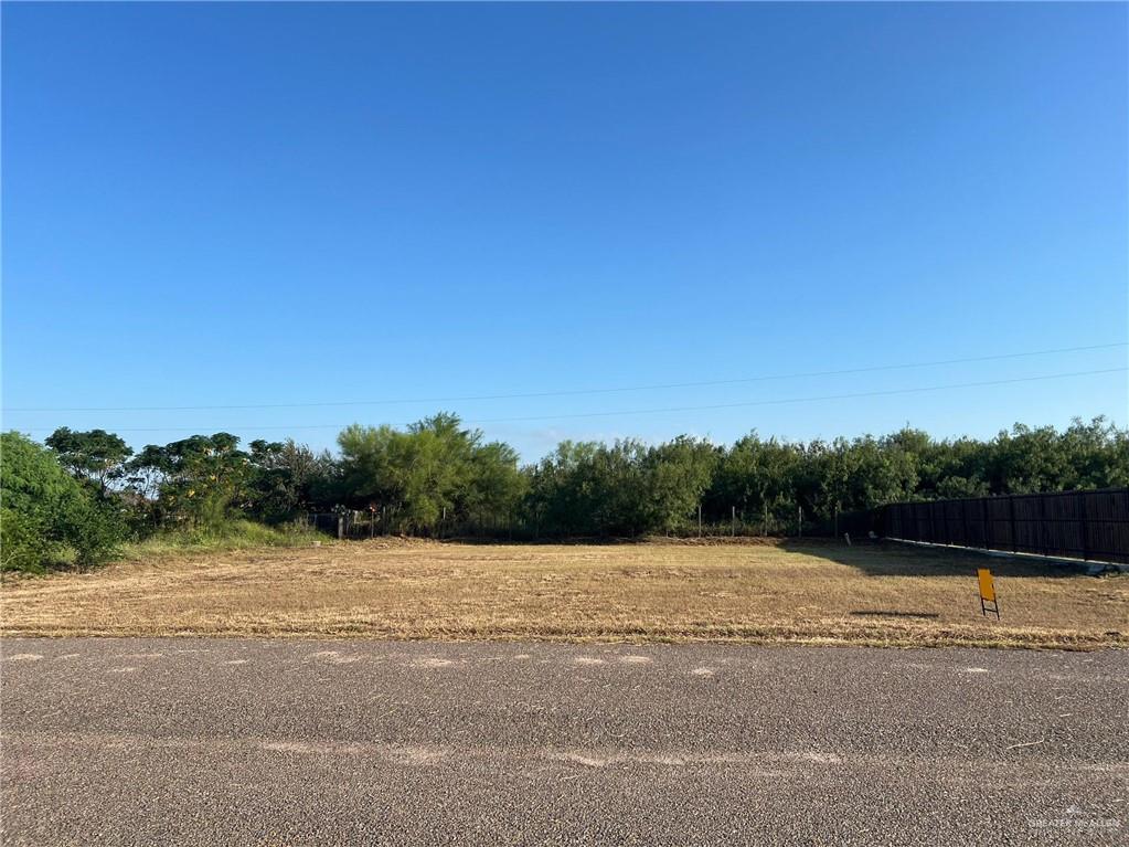 615 E 41st Street, San Juan, Texas image 2