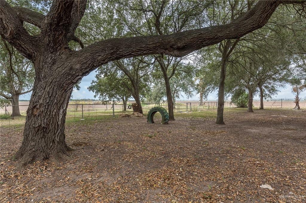 12274 Mile 2, Mercedes, Texas image 20