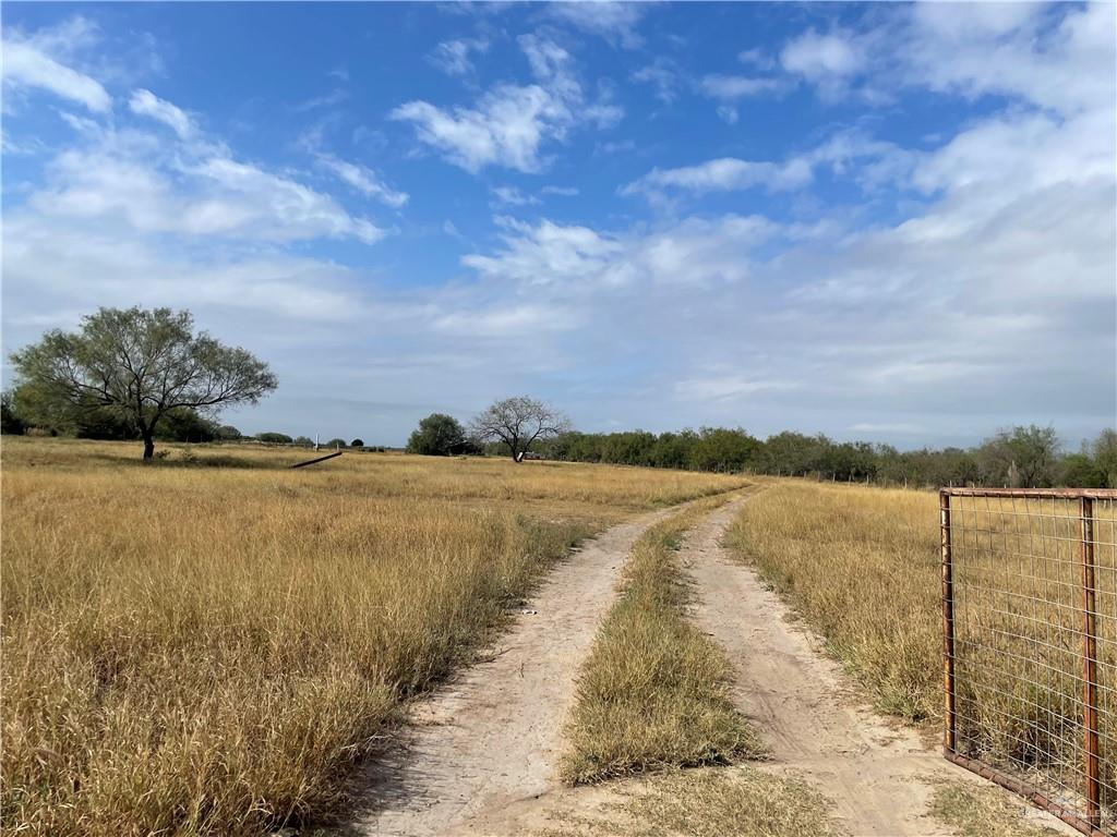 000 Iowa Road, Mission, Texas image 3