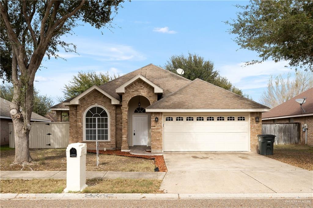 3805 San Roman Street, Mission, Texas image 1