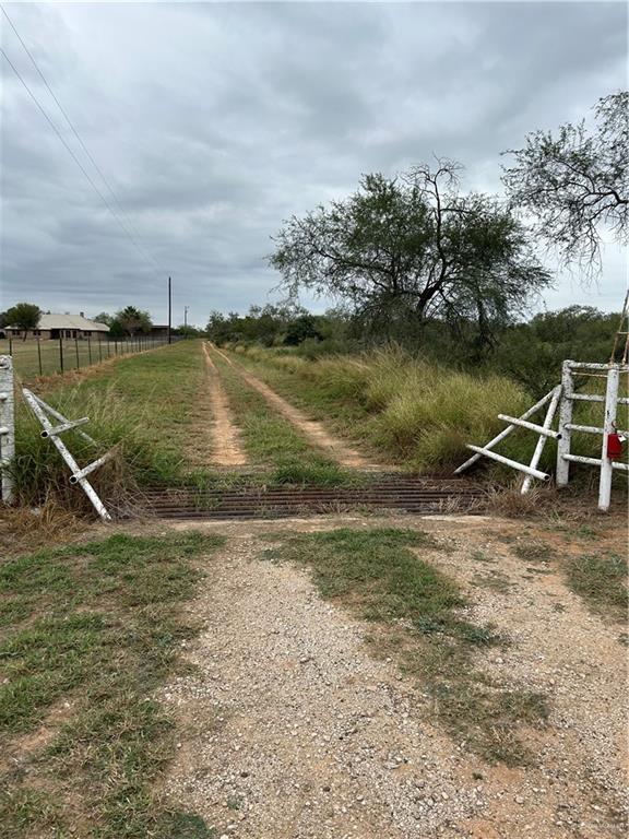 Fm 1017, San Isidro, Texas image 1