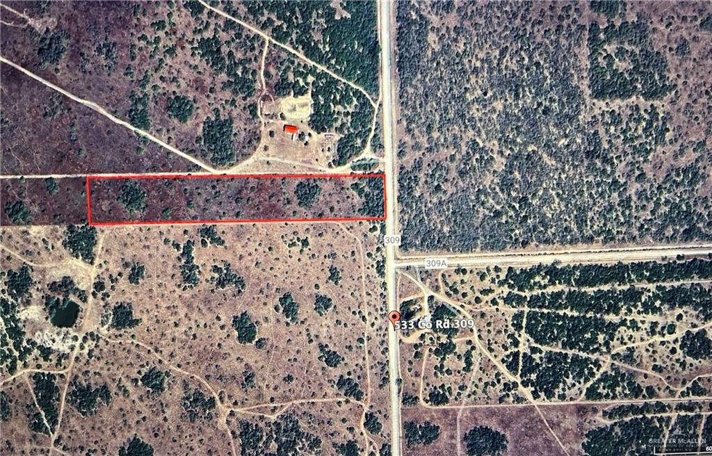 553 Cr 309 Road, Encino, Texas image 4