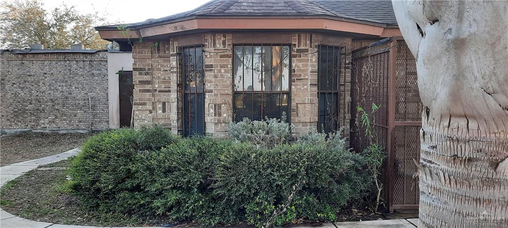 1317 Owassa Road, Alamo, Texas image 2