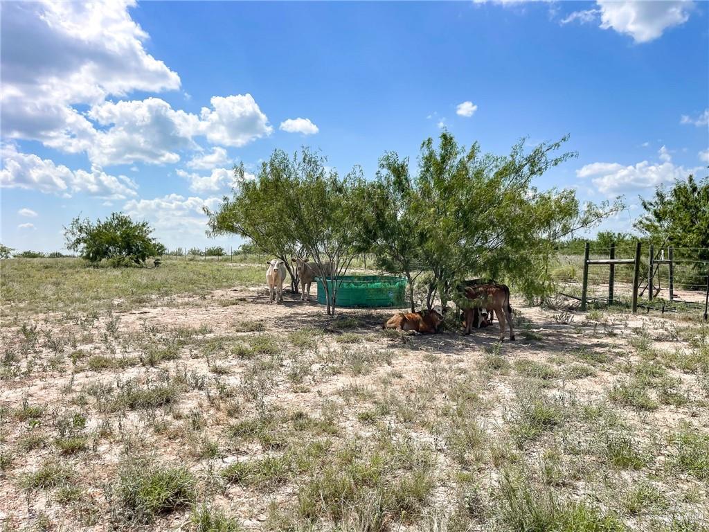 1884 Pimenta Road, Rio Grande City, Texas image 18