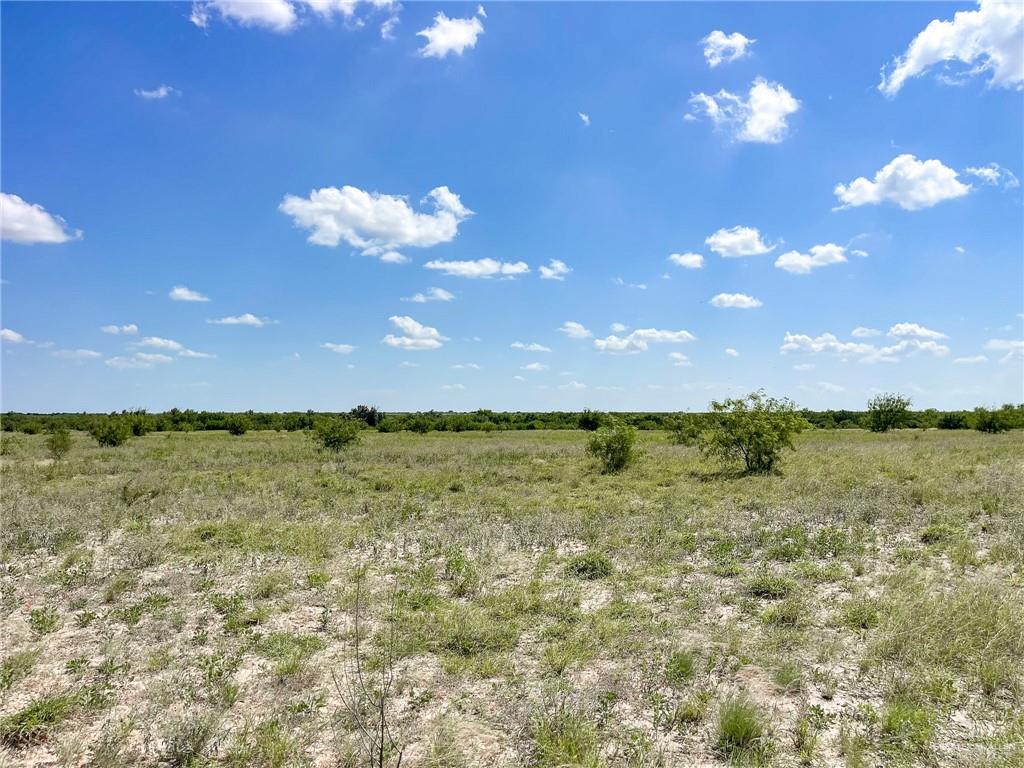 1884 Pimenta Road, Rio Grande City, Texas image 19