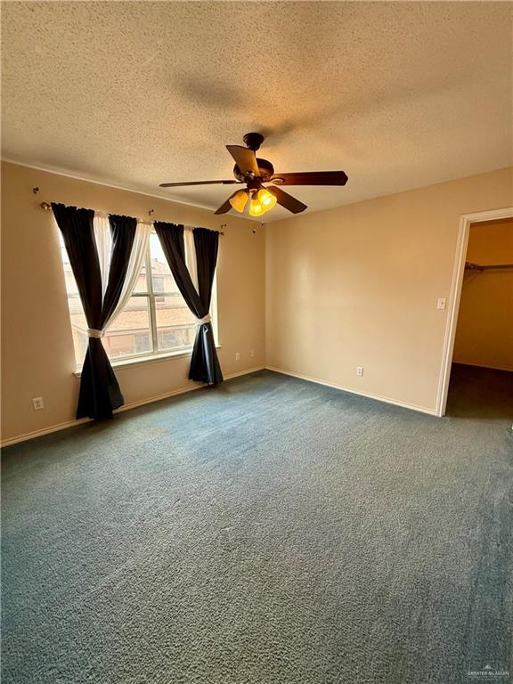 3100 Princeton Avenue, McAllen, Texas image 20