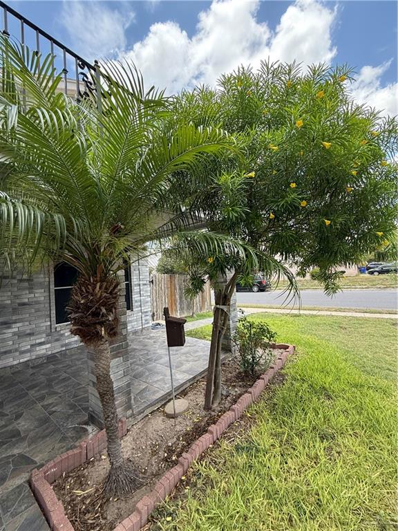 3100 Princeton Avenue, McAllen, Texas image 43