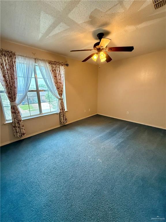 3100 Princeton Avenue, McAllen, Texas image 24