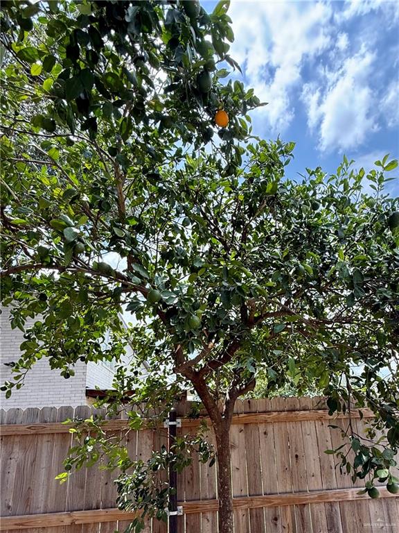 3100 Princeton Avenue, McAllen, Texas image 40