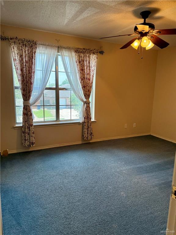 3100 Princeton Avenue, McAllen, Texas image 23