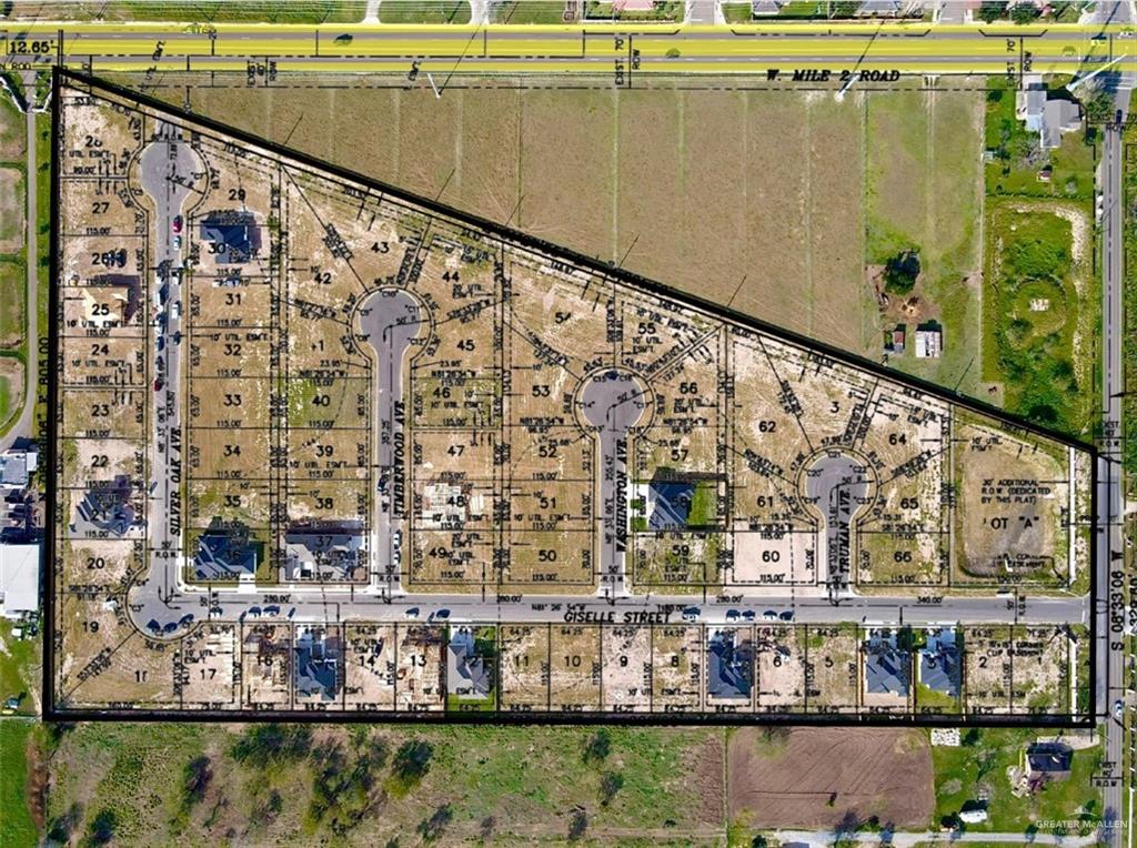 3100 Timberwood Avenue, Mission, Texas image 2
