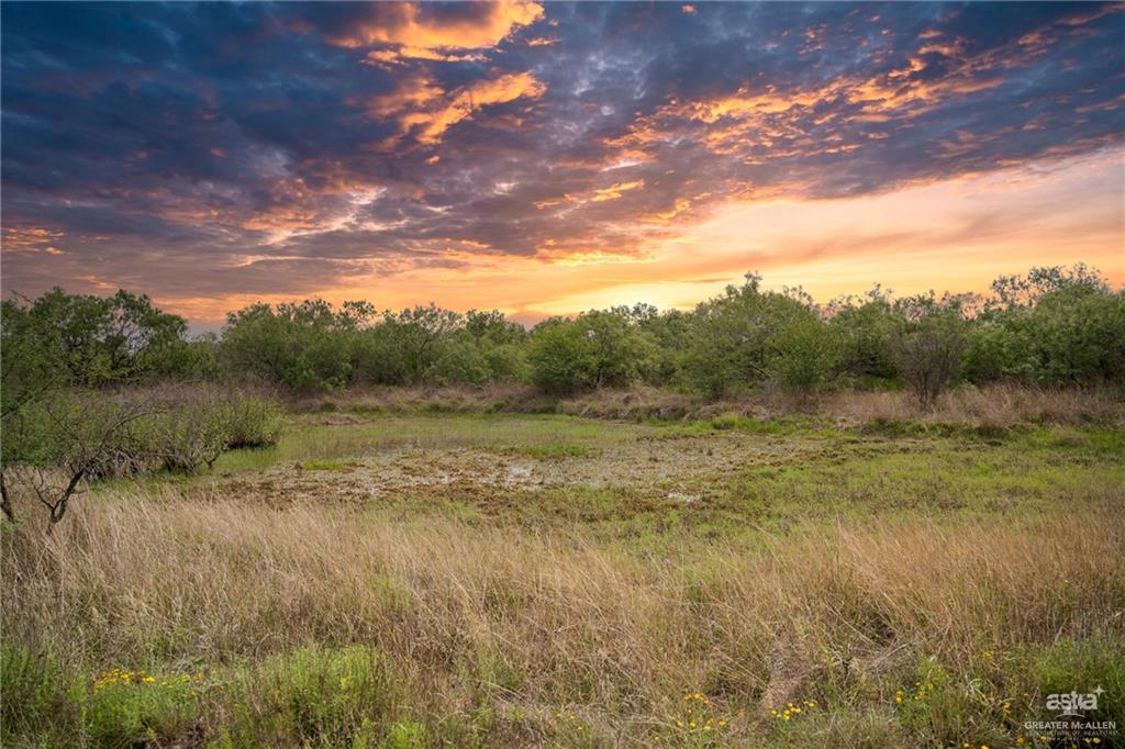 498 Brooks County Road 406, Falfurrias, Texas image 24