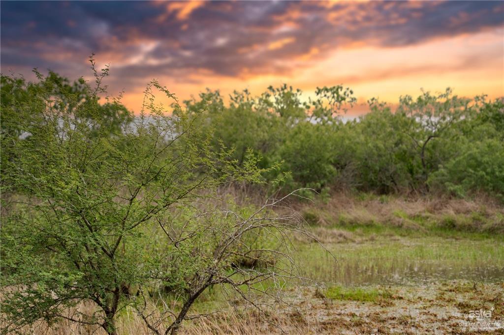 498 Brooks County Road 406, Falfurrias, Texas image 25