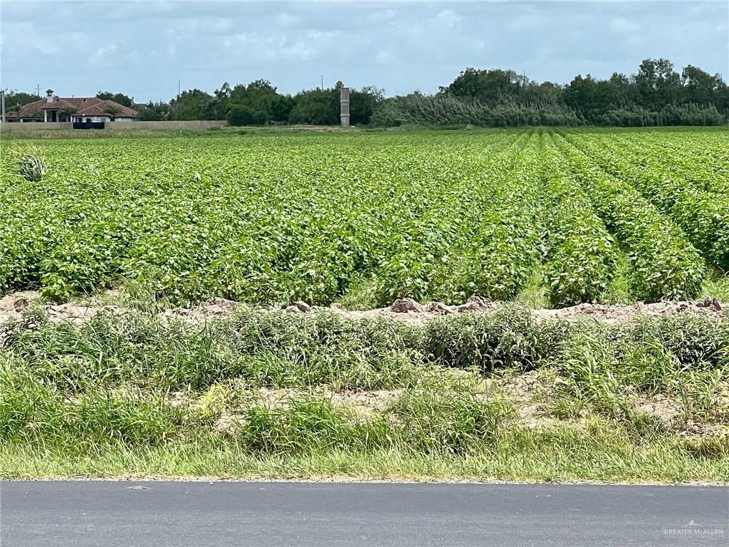 TBD Military Road, Progreso, Texas image 1