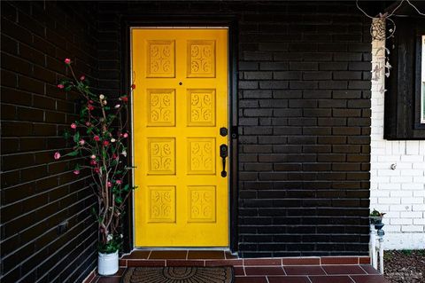 Photo of 101 Apollo Drive, Donna, TX 78537 (MLS # 491439)