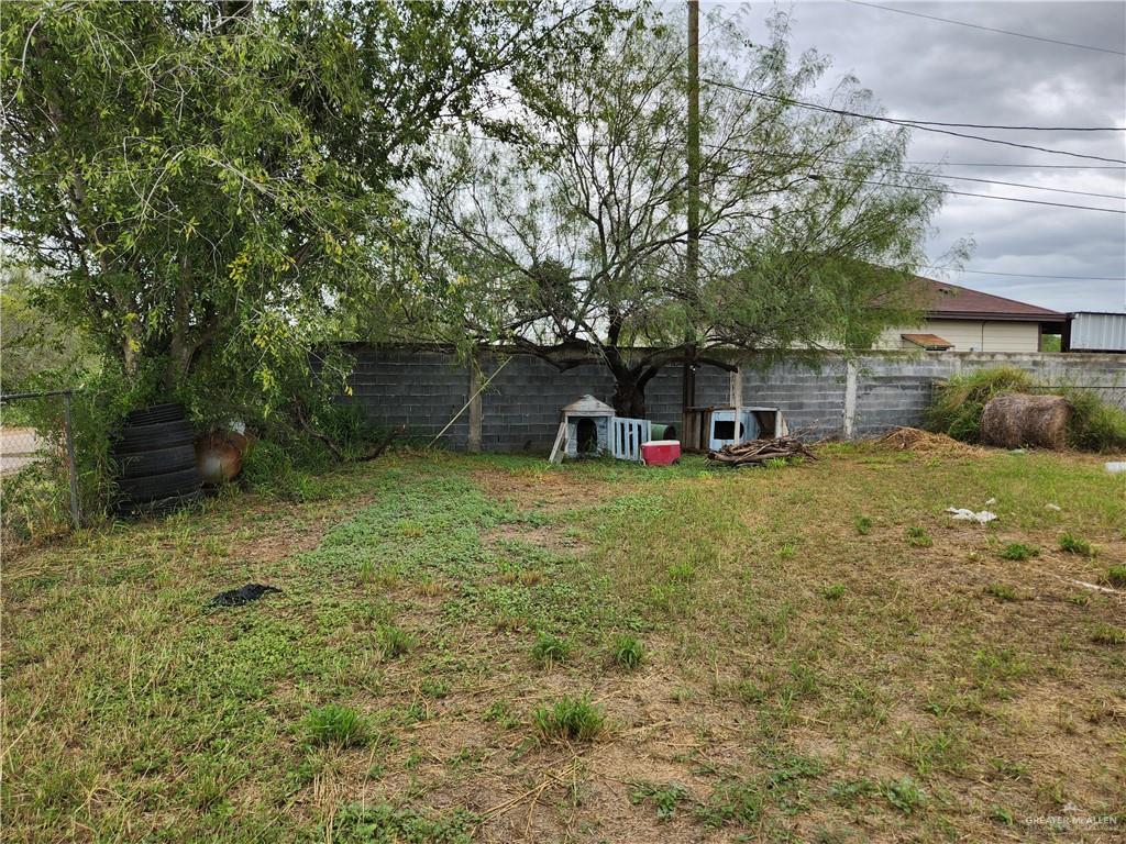 2981 Azalea Street, Roma, Texas image 15