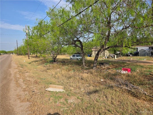 703 E LOS CHARCOS DR, PALMVIEW, TX 78572 - Image 3a9682d8fc47d5e116ff2e704869bb86/908328483