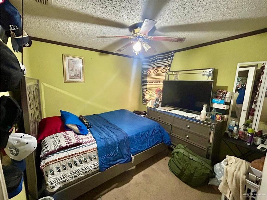 417 Charles Circle, Alamo, Texas image 11