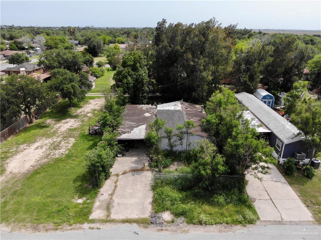 1207 Brazos Street, Alamo, Texas image 2