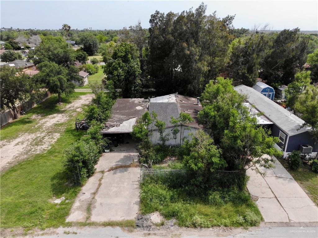 1207 Brazos Street, Alamo, Texas image 14