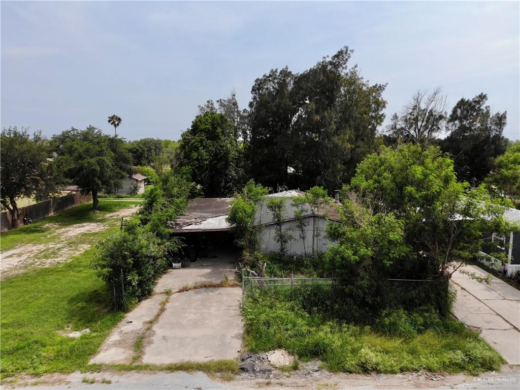 1207 Brazos Street, Alamo, Texas image 1