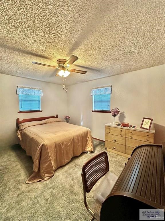 215 S Valley View Road #259, Donna, Texas image 8