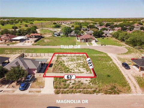 Vacant Land For Sale - LOT 81 Magnolia Drive<br/> Starr County, Rio Grande City, TX 78582